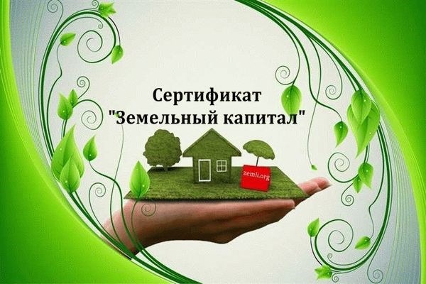 Государственная выплата 250 тысяч рублей многодетным семьям