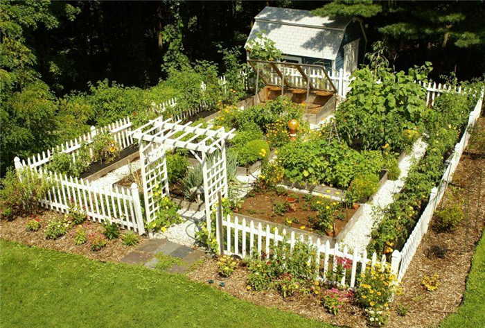 Планировка участка с садом, огородом, теплицей и ягодником